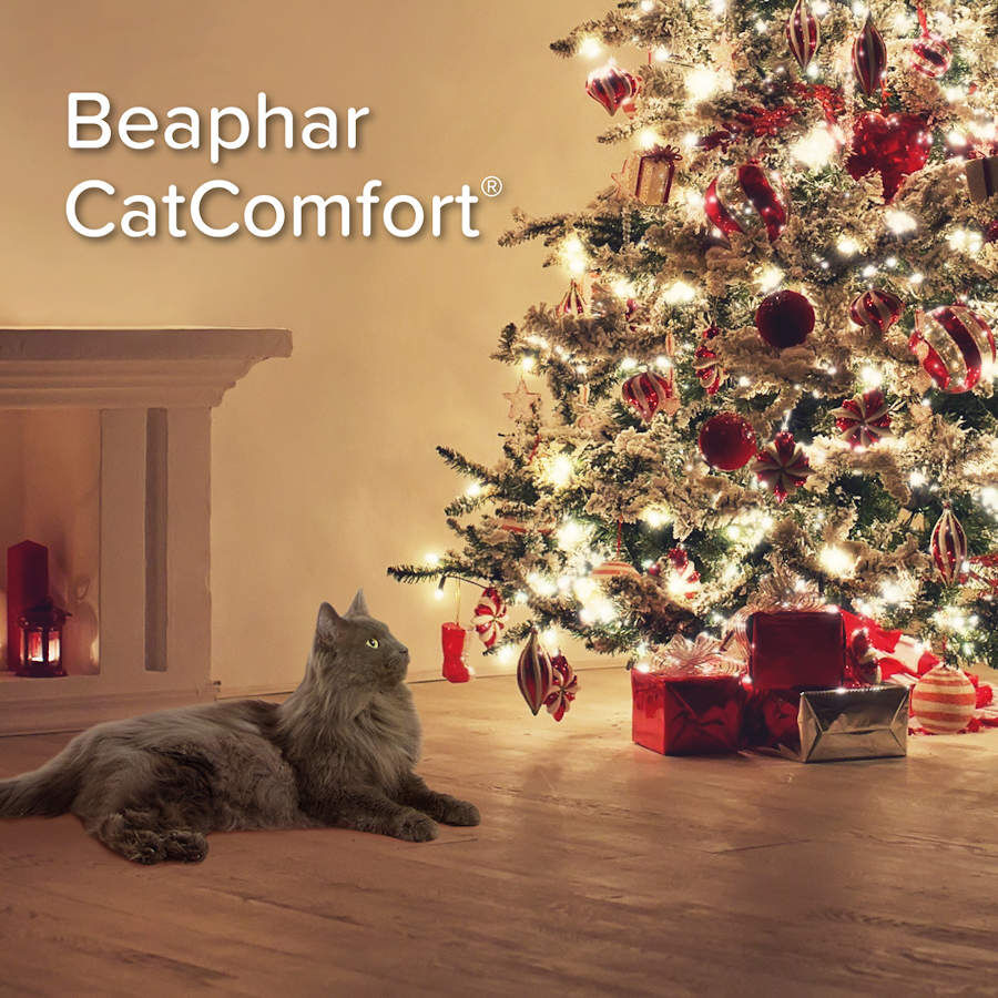 Beaphar CatComfort spray relaxante para stress ocasional em gatos, , large Imagem n&uacute;mero 4