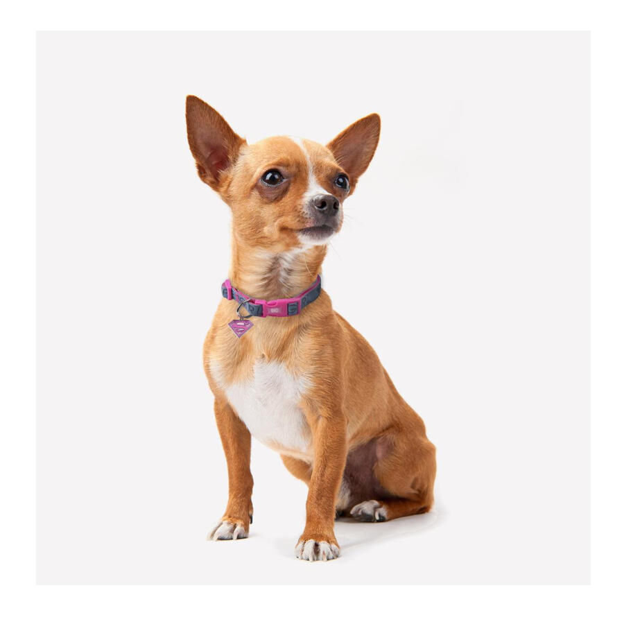 DC Comics Supergirl Coleira para c&atilde;es, , large Imagem n&uacute;mero 2