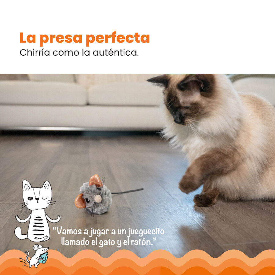 Catstages Squeaky Squeaky Gris Rato com Catnip para gatos, , large Imagem n&uacute;mero 6