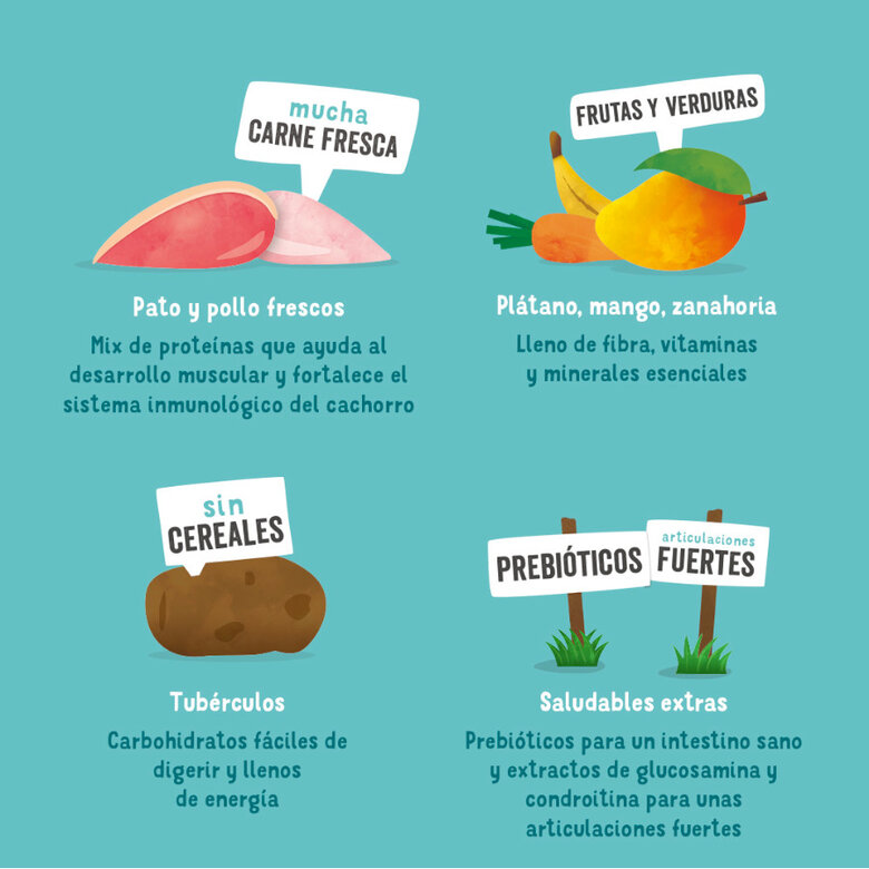 Edgard & Cooper ração Pato e Frango para cachorros,  Imagem número 4 Edgard & Cooper ração Pato e Frango para cachorros, , large Imagem número 4