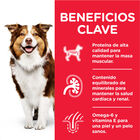 Hill's Mature Adult Science Plan Frango lata para cães , , large image number null