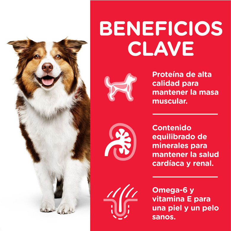 Hill's Mature Adult Science Plan Frango lata para cães , , large image number null
