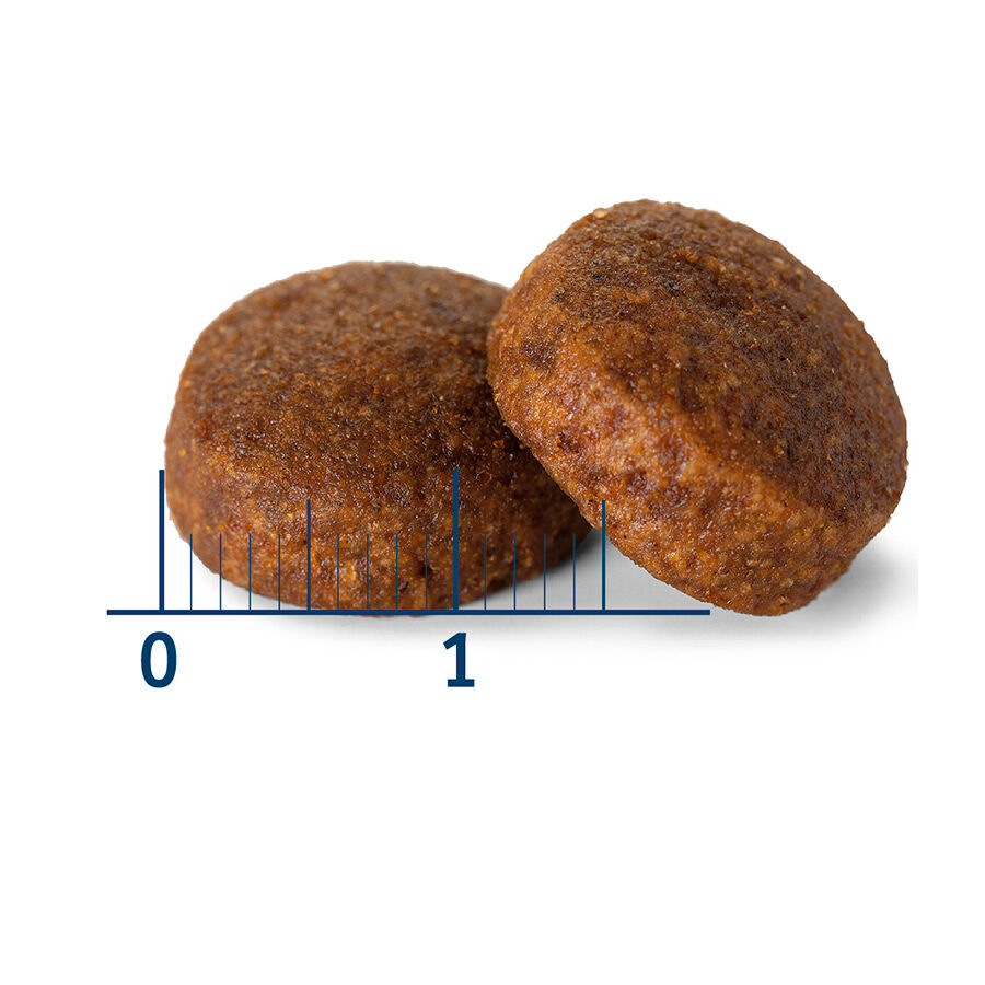 12 kg Nath Adult Maxi Frango ra&ccedil;&atilde;o para c&atilde;es, , large Imagem n&uacute;mero 3