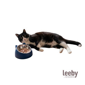 Leeby Comedouro Elevado em A&ccedil;o Inoxid&aacute;vel e Pl&aacute;stico Azul para gatos