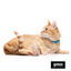Gotoo Coleira nylon azul para gatos, , large Indicador imagem número 5