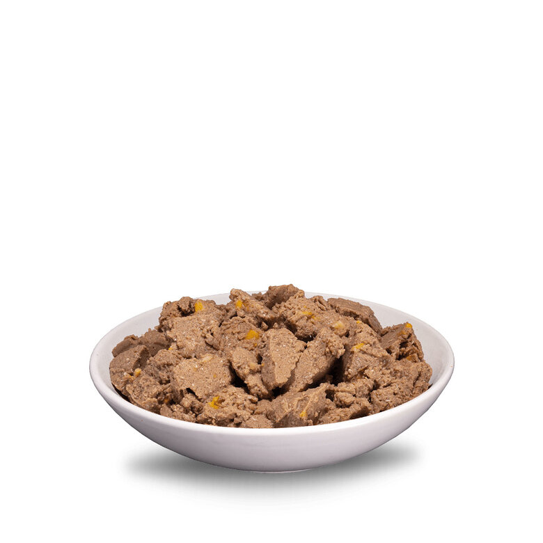 400 g ERA Sybarite Adulto Atum, Porco e Batata Doce patê em lata para cães,  Imagem número 2 400 g ERA Sybarite Adulto Atum, Porco e Batata Doce patê em lata para cães, , large Imagem número 2