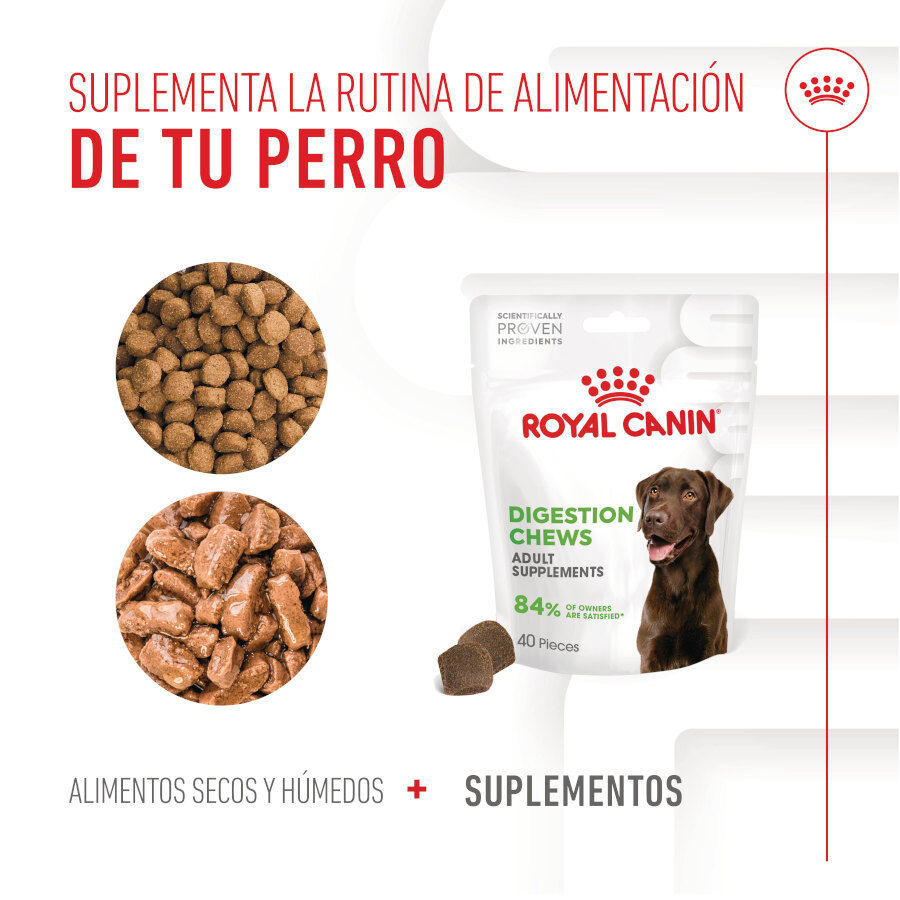 160 g Royal Canin Digestion Chews Suplemento Nutricional para c&atilde;es com sensibilidade, , large Imagem n&uacute;mero 9