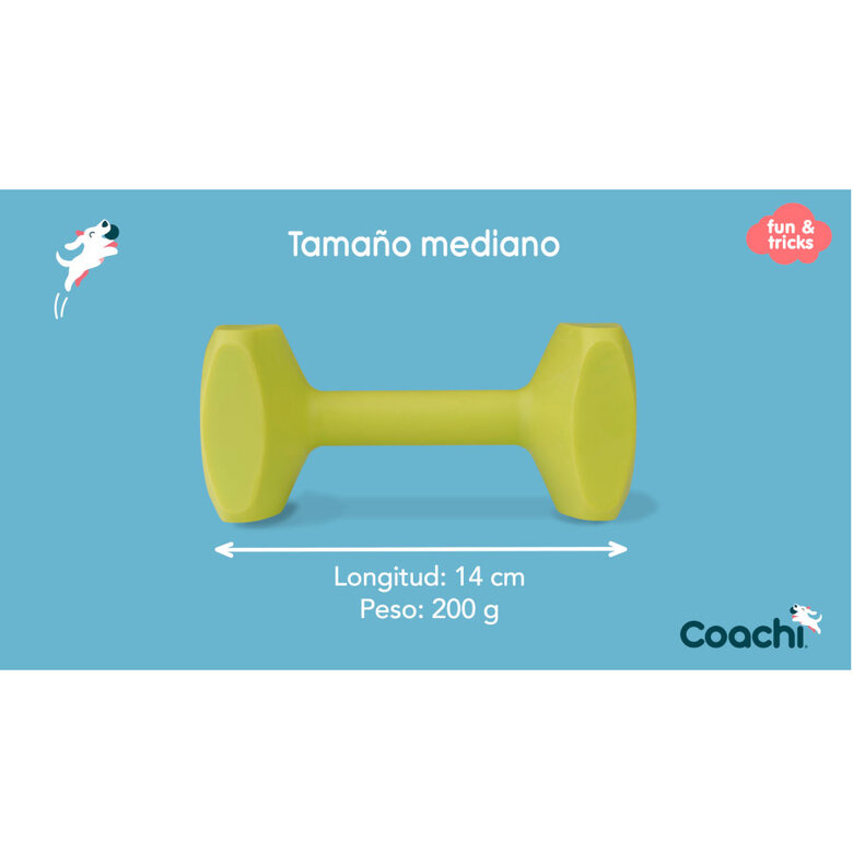 Coachi Halter de brinquedo limão médio para cães,  Imagem número 2 Coachi Halter de brinquedo limão médio para cães, , large Imagem número 2