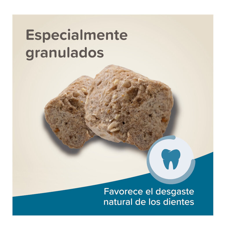 700 g Beaphar Care+ Ração para hámsteres,  Imagem número 6 700 g Beaphar Care+ Ração para hámsteres, , large Imagem número 6