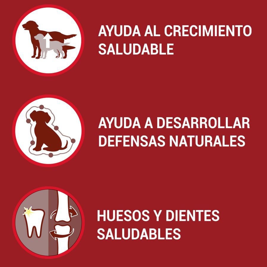 1.5 kg Purina One Junior Bifensis Frango ra&ccedil;&atilde;o para c&atilde;es, , large Imagem n&uacute;mero 2