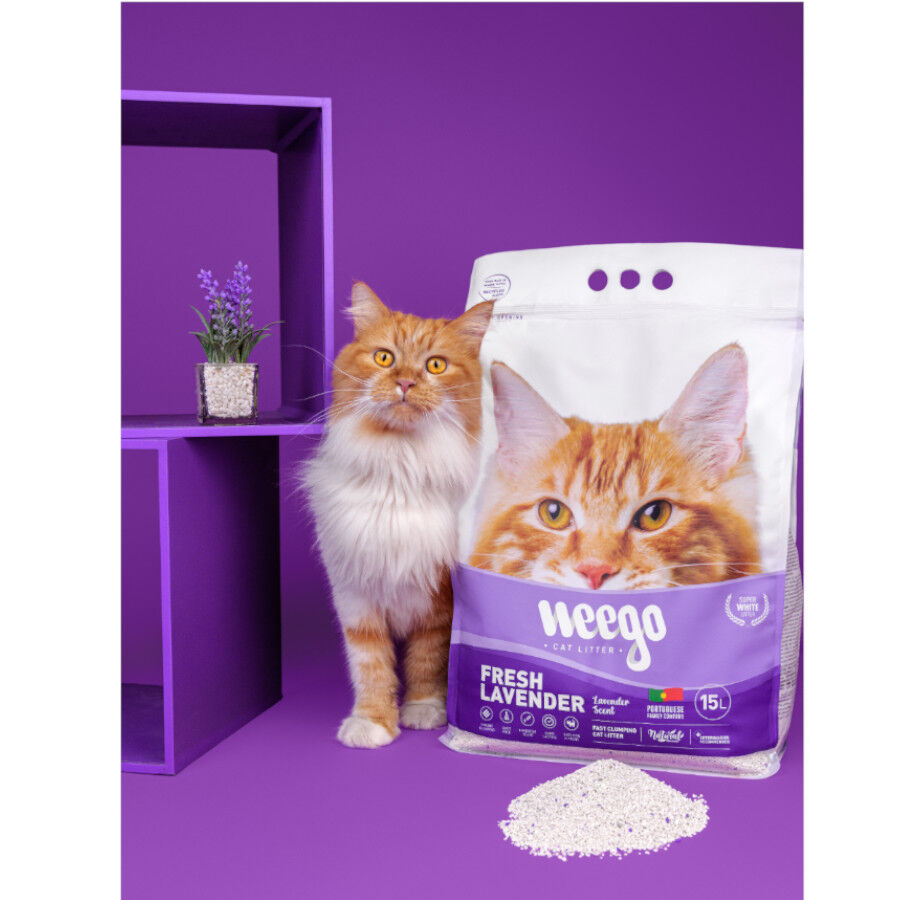 Weego Fresh Lavender Areia Aglomerante para gatos, , large Imagem n&uacute;mero 3