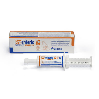 Bioiberica Pro-Enteric Advanced Probióticos em Pasta para gatos