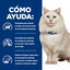 3 kg Hill's Prescription Diet c/d Urinary Stress Peixe Azul Ra&ccedil;&atilde;o para gatos, , large Indicador imagem n&uacute;mero 5