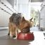 Purina One Senior 8+ Mini ração para cães, , large Indicador imagem número 3
