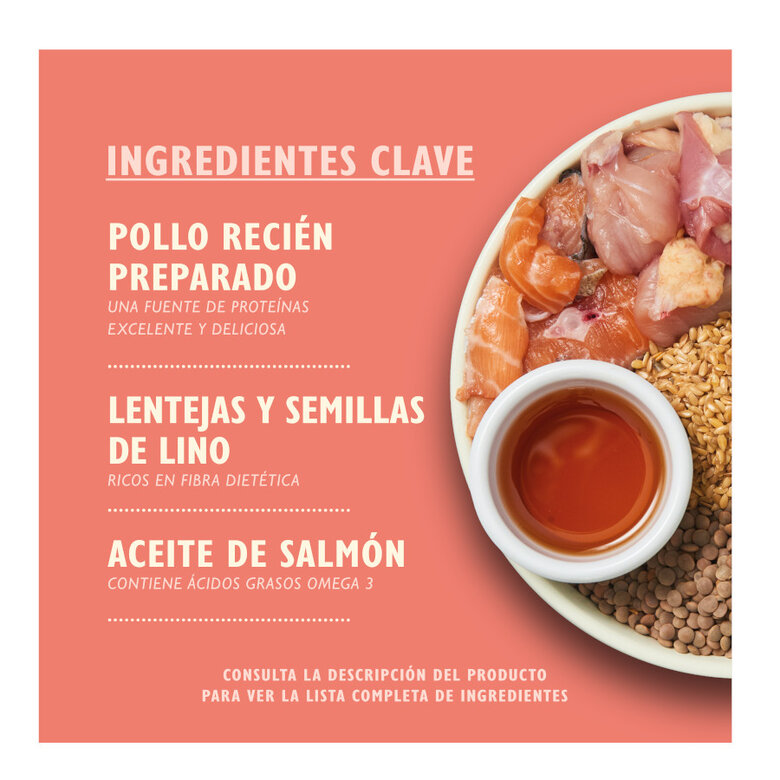 2.5 kg Lily's Kitchen Puppy Frango e Salmão ração para cães,  Imagem número 2 2.5 kg Lily's Kitchen Puppy Frango e Salmão ração para cães, , large Imagem número 2
