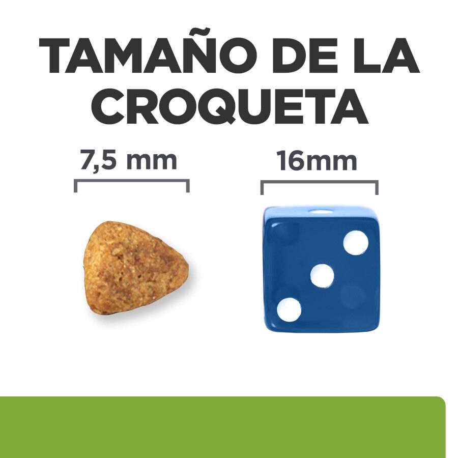 6 kg Hill's Prescription Diet j/d Metabolic + Mobility mini Adult ra&ccedil;&atilde;o para c&atilde;es, , large Imagem n&uacute;mero 6