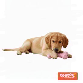 Tootoy! Puppy Ossinho Diamond para cachorros