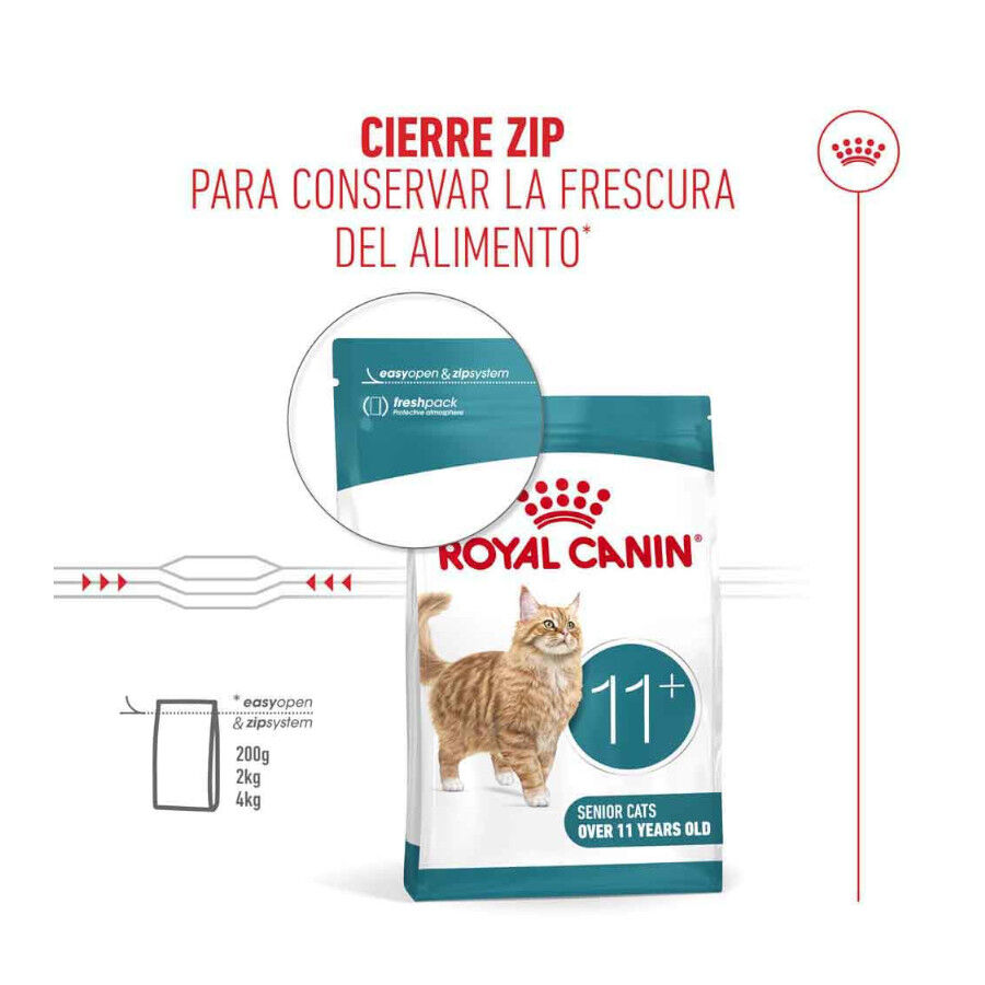 4 kg Royal Canin Ageing 11+ ra&ccedil;&atilde;o para gatos, , large Imagem n&uacute;mero 7