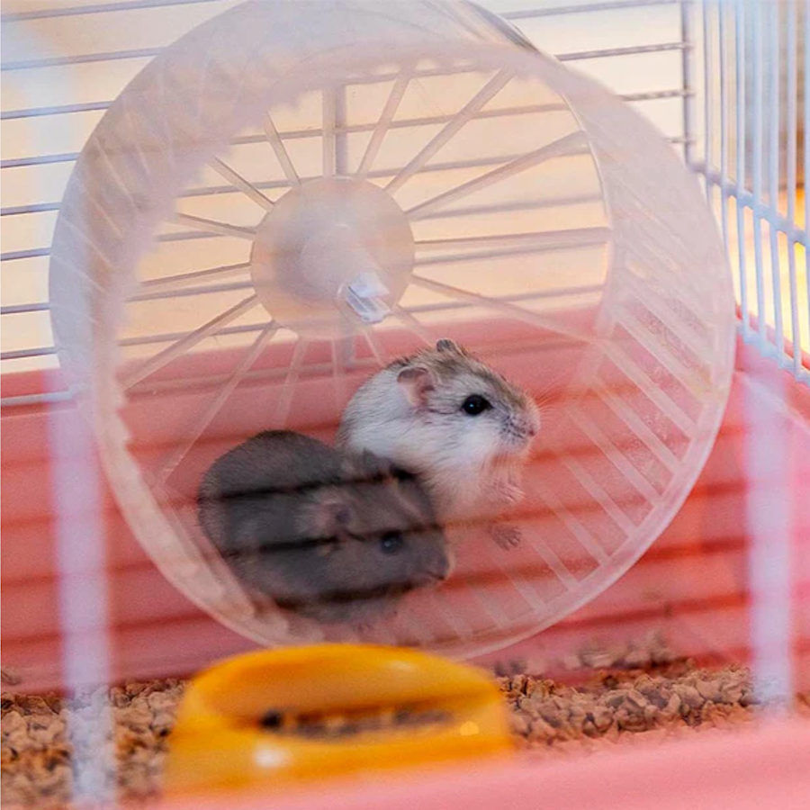 Ferplast Criceti 9 Princesas Branca Jaula para roedores, , large Imagem n&uacute;mero 5