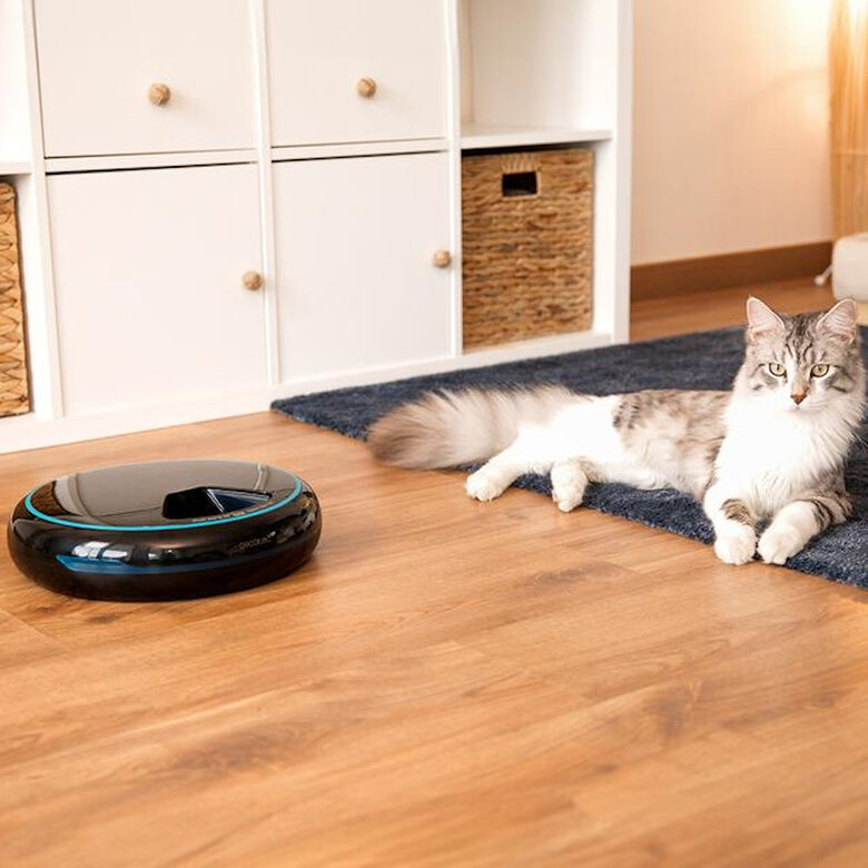 Cecotec Pumba 1600 Purrfect Meal Comedouro Dispensador para cães e gatos,  Imagem número 9 Cecotec Pumba 1600 Purrfect Meal Comedouro Dispensador para cães e gatos, , large Imagem número 9