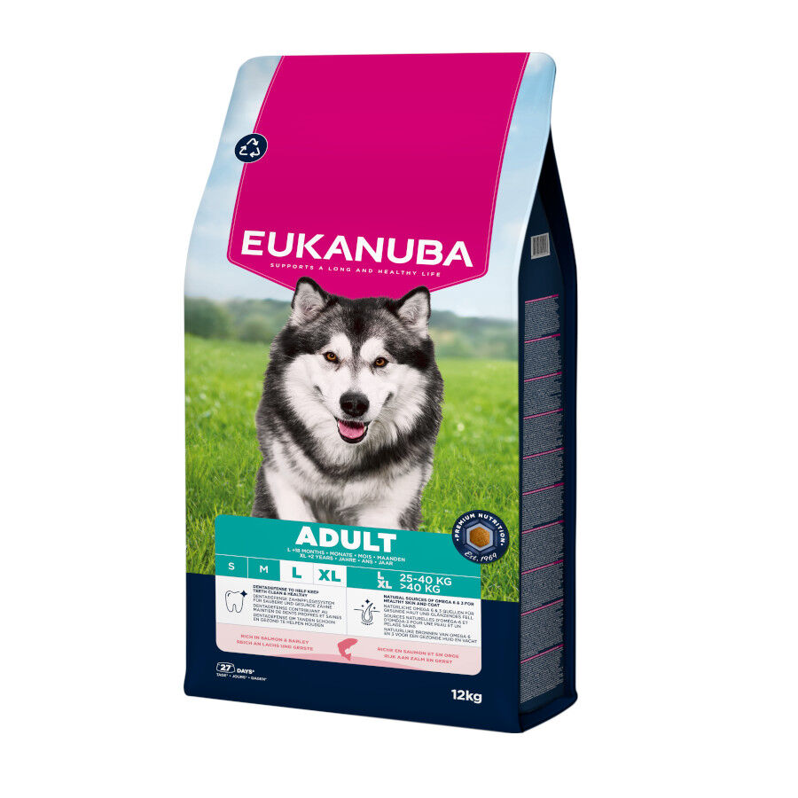 12 kg Eukanuba Adult Salm&atilde;o ra&ccedil;&atilde;o para c&atilde;es , , large Imagem n&uacute;mero 2