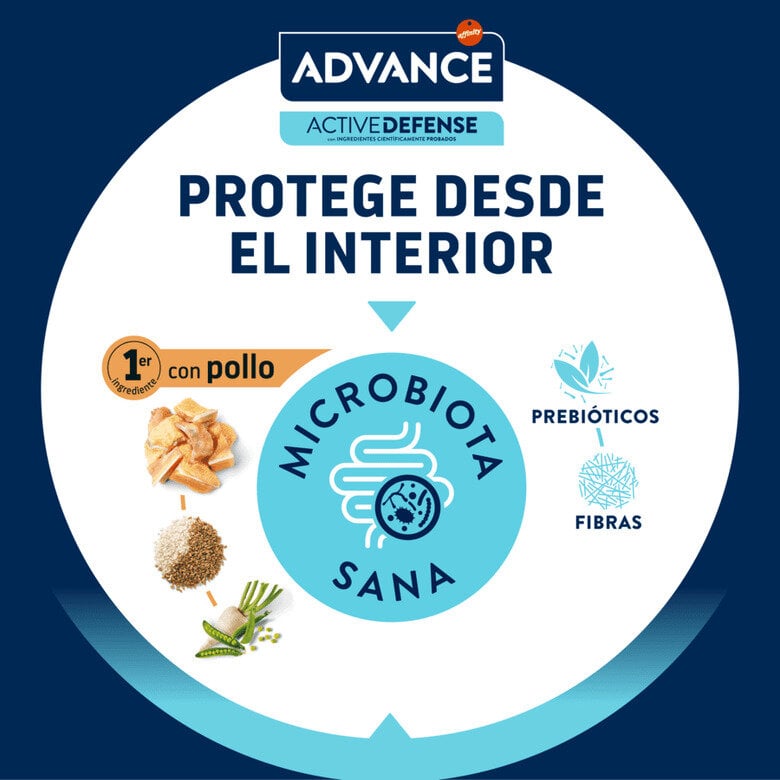 comida_gatos_advance_affinity_junior_sterilized_ADV500823_M_AB24_7 Imagem número 7 Advance Junior Sterilized pienso para gatos6 Imagem número 7