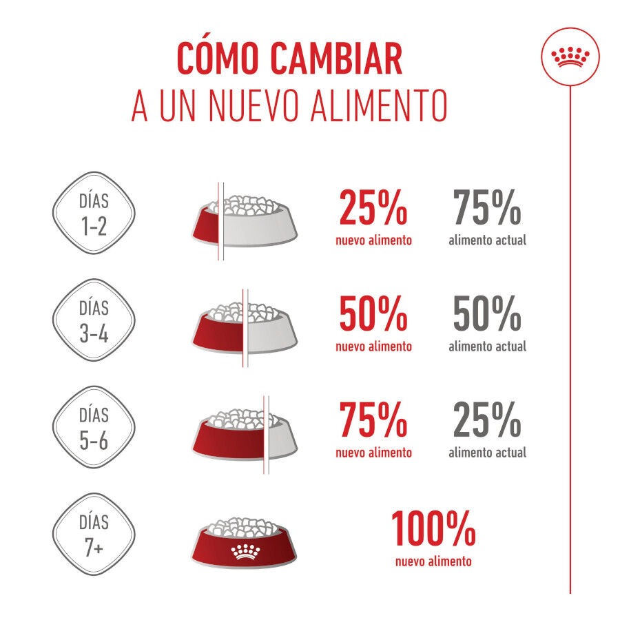 2 x 15 kg Royal Canin Medium Starter Mother&Baby ra&ccedil;&atilde;o para c&atilde;es  Pack poupan&ccedil;a!, , large Imagem n&uacute;mero 9