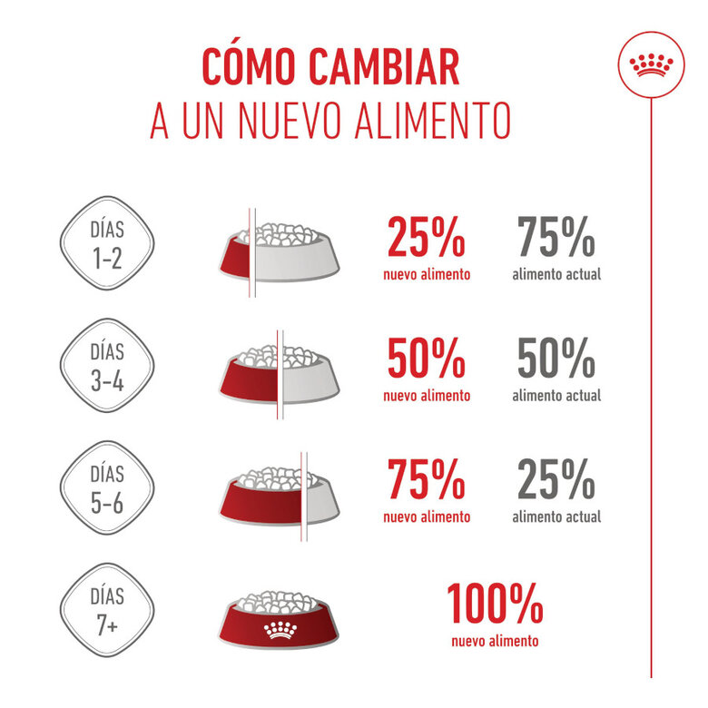 15 kg Royal Canin Medium Starter Mother&Baby ração para cães,  Imagem número 9 15 kg Royal Canin Medium Starter Mother&Baby ração para cães, , large Imagem número 9