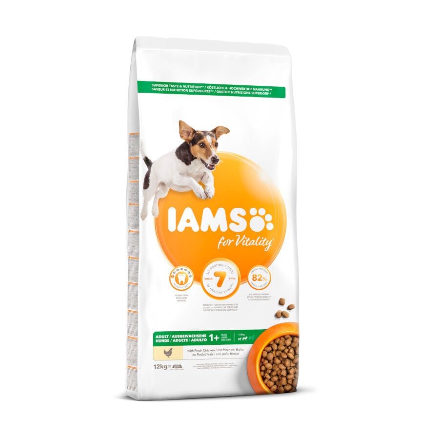 IAMS Proactive pienso para perros Imagem n&uacute;mero 1