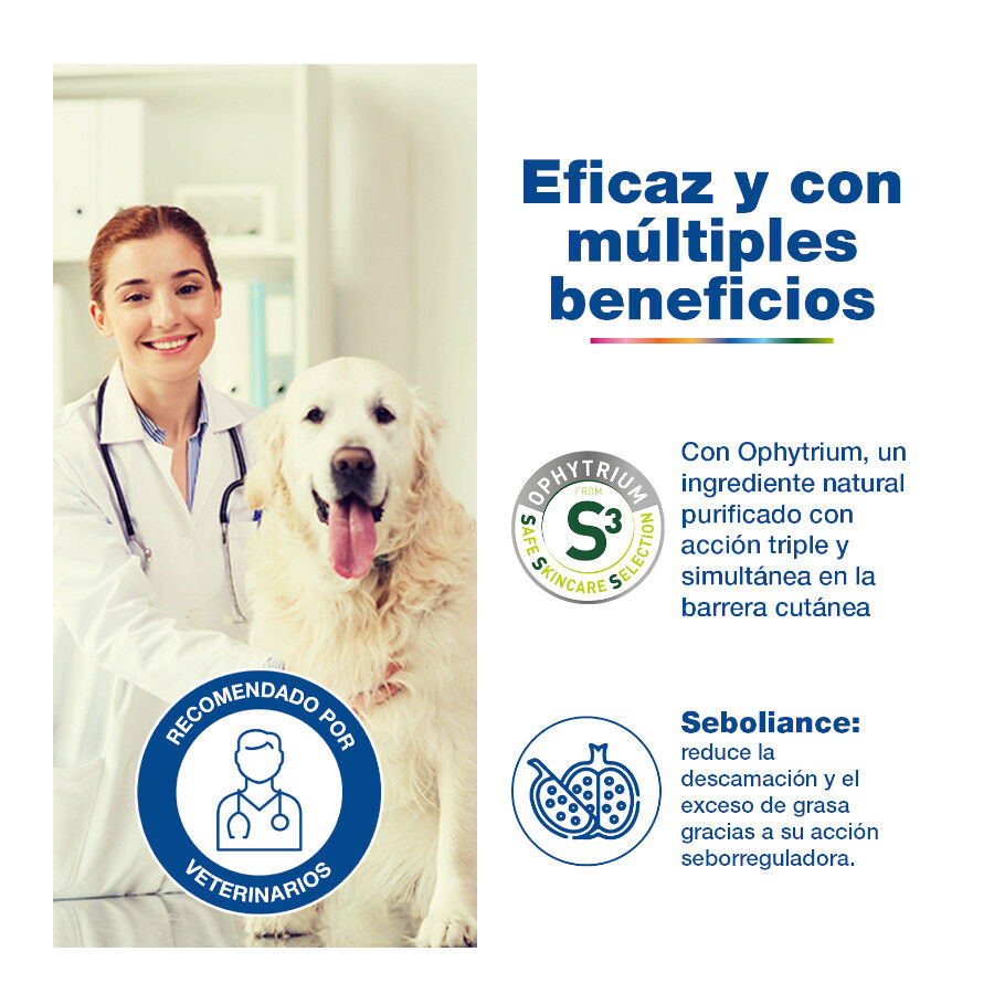 &nbsp;, , large Imagem n&uacute;mero 3