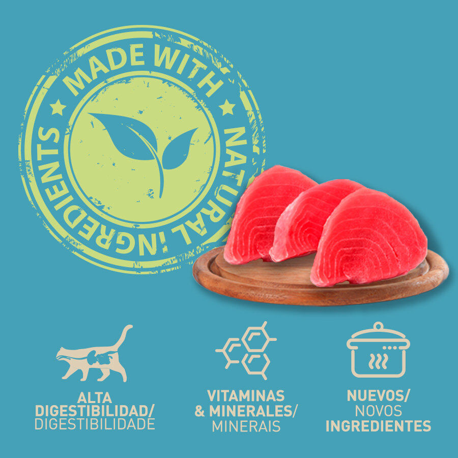 400 g Catzilla Adult Grain Free Trout & Tuna Pat&ecirc; lata para gatos, , large Imagem n&uacute;mero 3