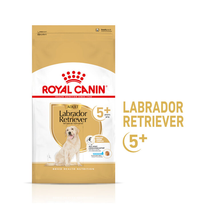 12 kg Royal Canin Adult 5+ Labrador ração para cães,  Imagem número 2 12 kg Royal Canin Adult 5+ Labrador ração para cães, , large Imagem número 2