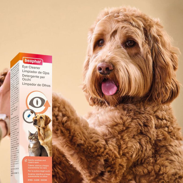 beaphar_limpiaojos_BEA11673_AG23.8 Imagem número 9 Beaphar Limpiador de Ojos para perros y gatos Imagem número 9