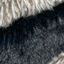Tootoy! Comfort Skinny Racoon peluche com som crocante para cães, , large Indicador imagem número 3
