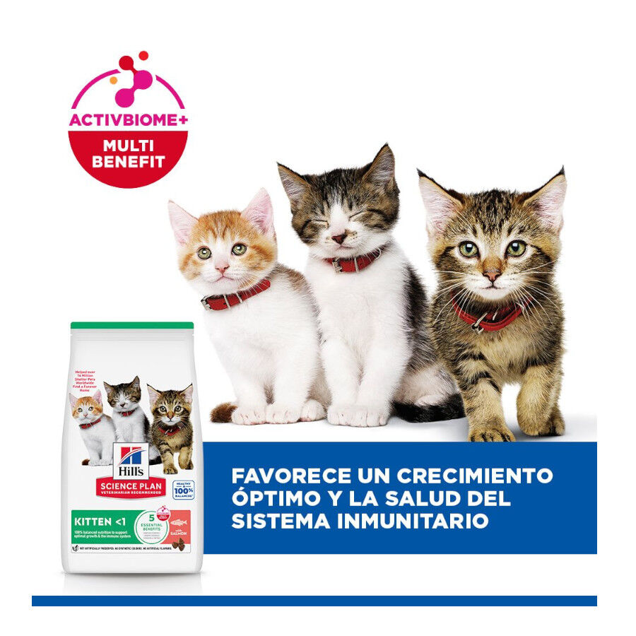 1.5 kg Hill's Science Plan Ra&ccedil;&atilde;o de salm&atilde;o para gatinhos, , large Imagem n&uacute;mero 9