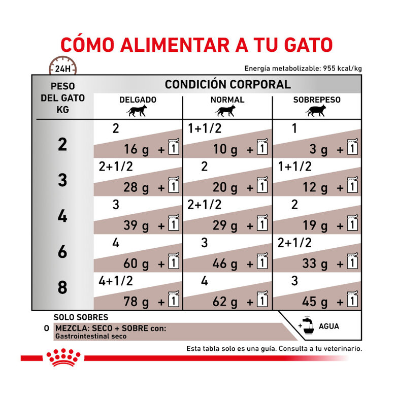 12 saquetas x 85 g Royal Canin Veterinary Gastrointestinal saqueta em molho para gatos,  Imagem número 7 12 saquetas x 85 g Royal Canin Veterinary Gastrointestinal saqueta em molho para gatos, , large Imagem número 7