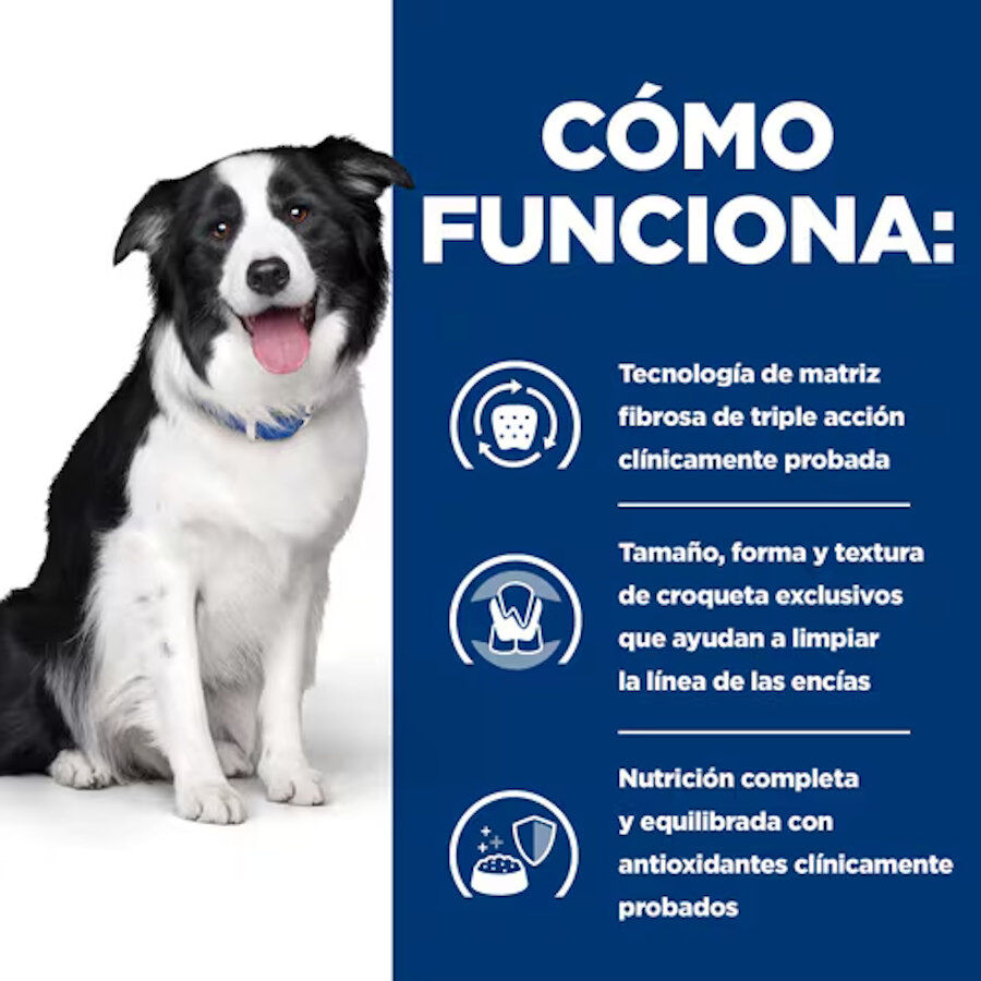 10 kg Hill's Prescription Diet t/d Dental Care Ra&ccedil;&atilde;o de frango para c&atilde;es m&eacute;dios, , large Imagem n&uacute;mero 5