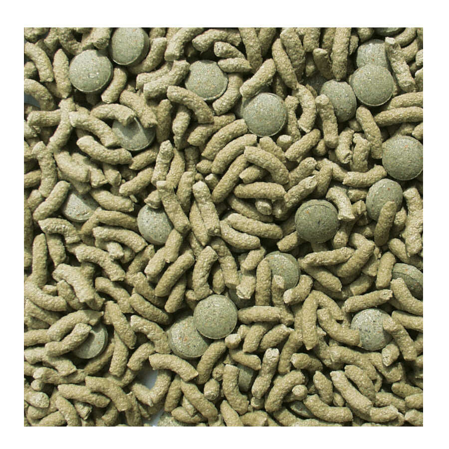 Sera Raffy Vital Comida para reptis herb&iacute;voros, , large Imagem n&uacute;mero 2