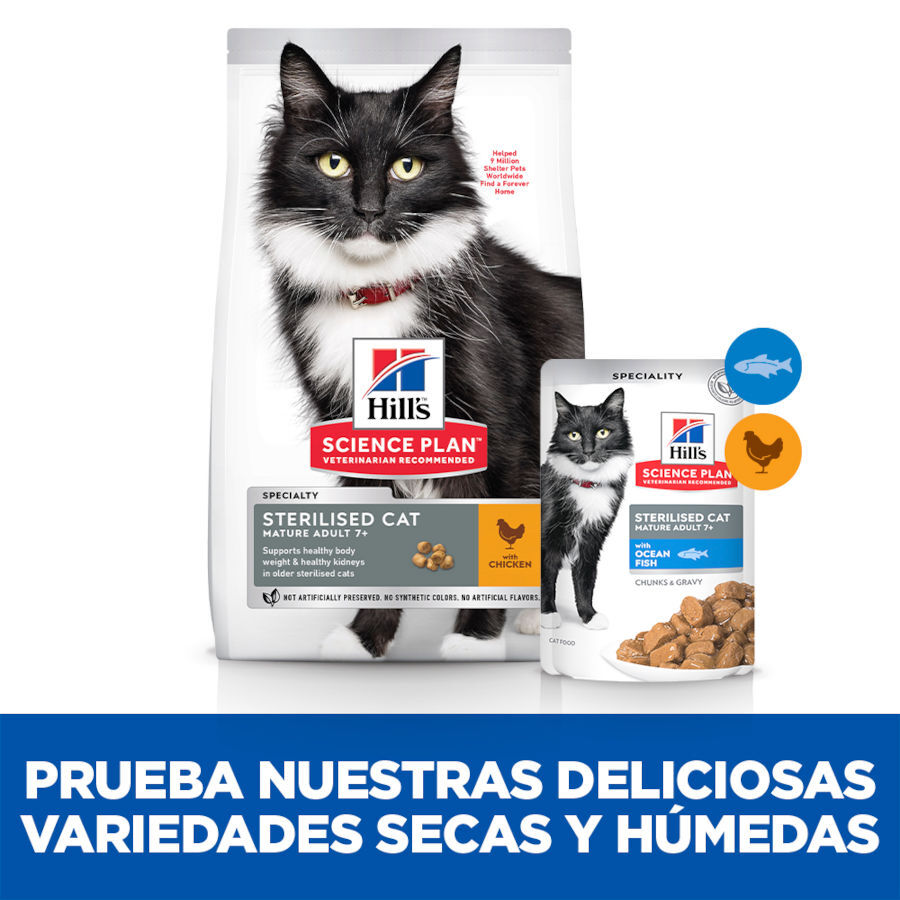 2 saquetas x 85 g Hill's Science Plan Sterilised Mature Peixe Oce&aacute;nico saqueta de molho para gatos Pack poupan&ccedil;a!, , large Imagem n&uacute;mero 5