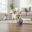 All For Paws Meta Ball  X Bola de ressalto Brinquedo para cães, , large Indicador imagem número 1
