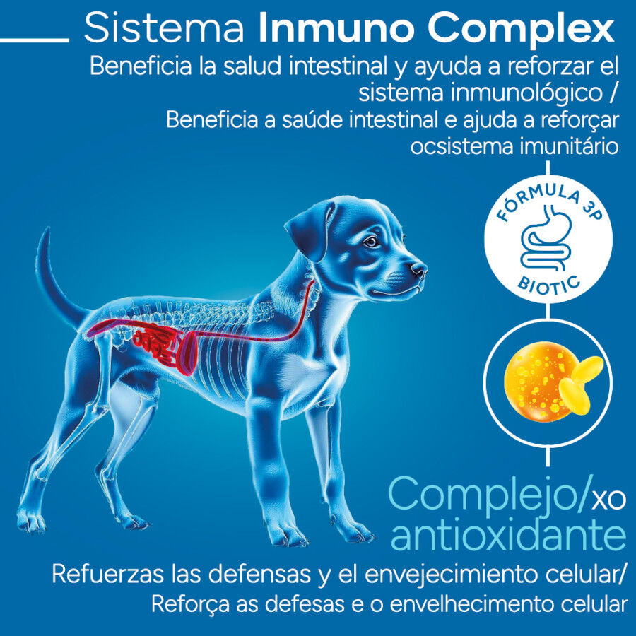 Criadores Cient&iacute;fico Mini Ra&ccedil;&atilde;o de frango para cachorros, , large Imagem n&uacute;mero 3