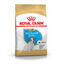 3 kg Royal Canin Puppy Jack Russell Terrier ração para cães, , large Indicador imagem número 1