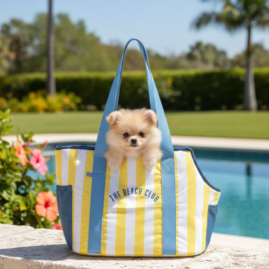Summer Vibes Club Bag Bolsa de Transporte para c&atilde;es pequenos, , large Imagem n&uacute;mero 1