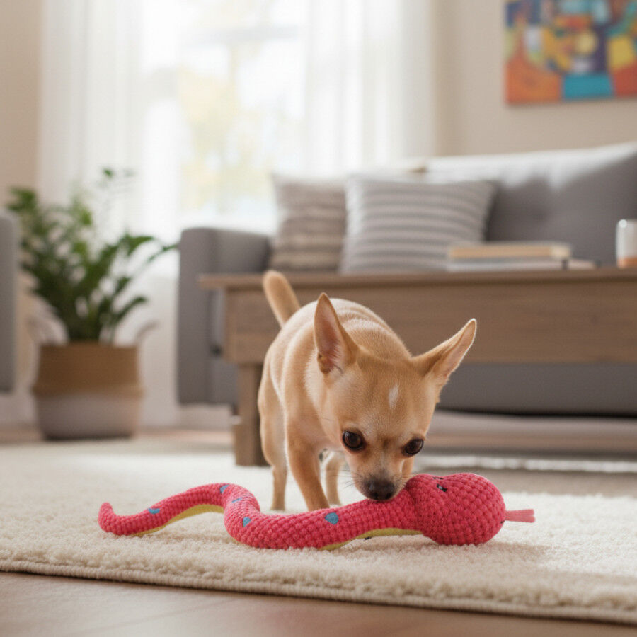 Tootoy! Comfort Peluche osso cobra para c&atilde;es, , large Imagem n&uacute;mero 1