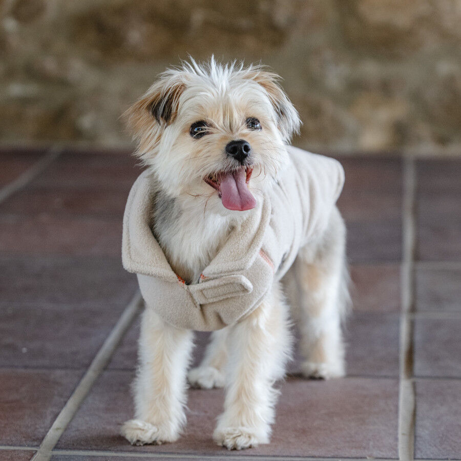 Freedog Snowpuff  Casaco Polar bege para c&atilde;es, , large Imagem n&uacute;mero 5