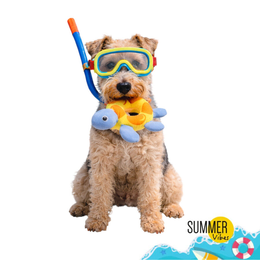 Summer Vibes Floating Fish Brinquedo Flutuante para c&atilde;es, , large Imagem n&uacute;mero 7