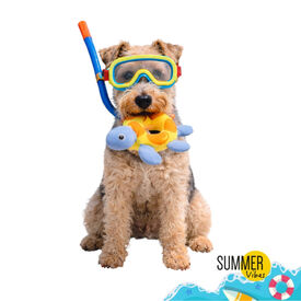 Summer Vibes Floating Fish Brinquedo Flutuante para c&atilde;es