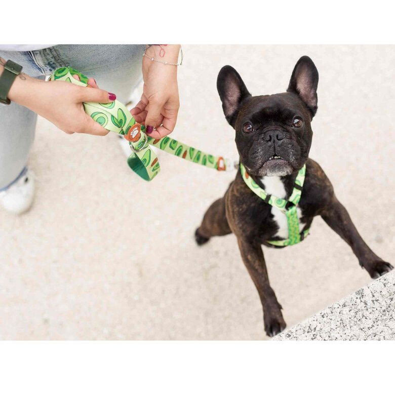 Dukier Avocado Clássico Peitoral com Estampado de Abacate para cães , , large image number null