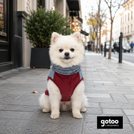 Gotoo Camisola Polar Azul para c&atilde;es