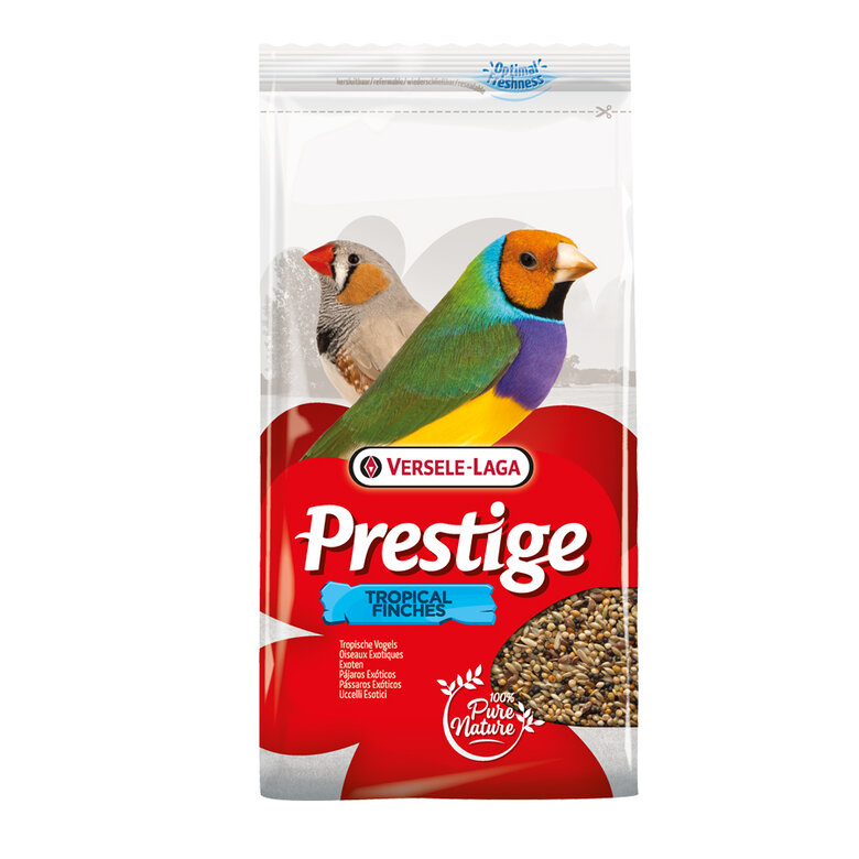 Alimento Versele Laga Prestige Stand up enriquecido para aves exóticas 1 kg Imagem número 1 alimento_pajaro_versele_laga_VER421520.jpg Imagem número 1